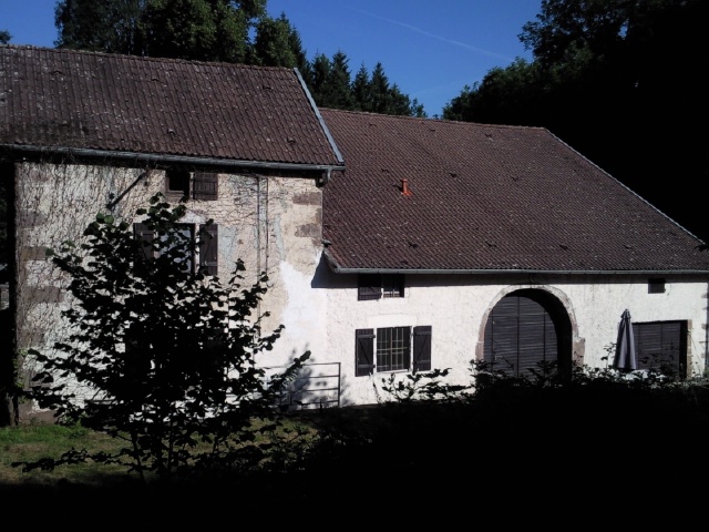 Foto4436.jpg