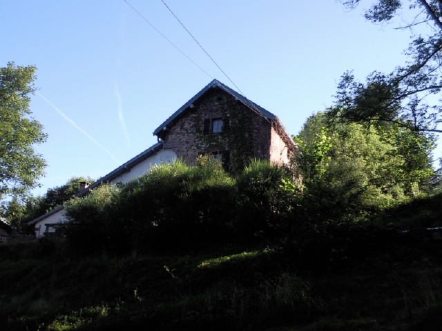Foto4456.jpg